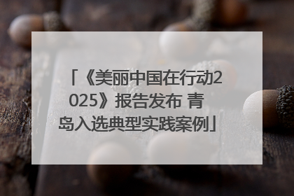 《美丽中国在行动2025》报告发布 青岛入选典型实践案例