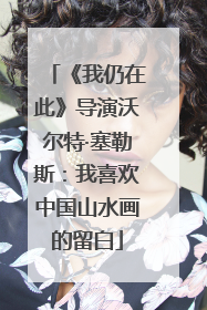 《我仍在此》导演沃尔特·塞勒斯：我喜欢中国山水画的留白