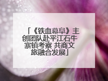 《铁血幕阜》主创团队赴平江石牛寨镇考察 共商文旅融合发展