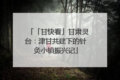 「甘快看」甘肃灵台：津甘共建下的针灸小镇振兴记