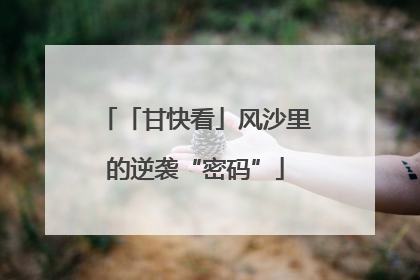 「甘快看」风沙里的逆袭“密码”