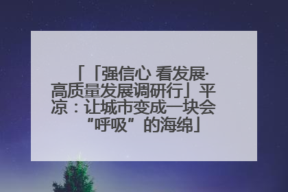 「强信心 看发展·高质量发展调研行」平凉：让城市变成一块会“呼吸”的海绵