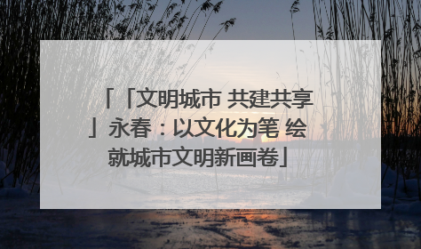 「文明城市 共建共享」永春：以文化为笔 绘就城市文明新画卷