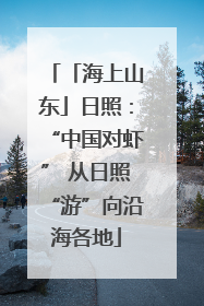 「海上山东」日照：“中国对虾” 从日照“游”向沿海各地