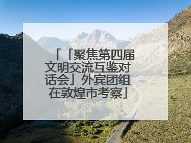 「聚焦第四届文明交流互鉴对话会」外宾团组在敦煌市考察