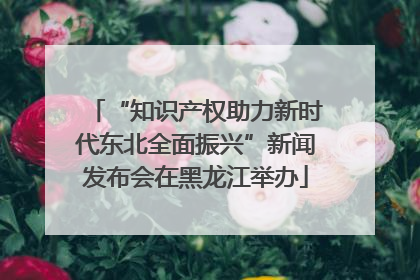 “知识产权助力新时代东北全面振兴”新闻发布会在黑龙江举办