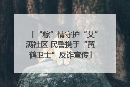 “粽”情守护“艾”满社区 民警携手“黄鹤卫士”反诈宣传