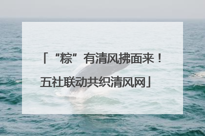 “粽”有清风拂面来！五社联动共织清风网