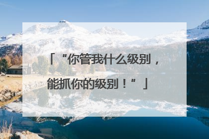 “你管我什么级别，能抓你的级别！”