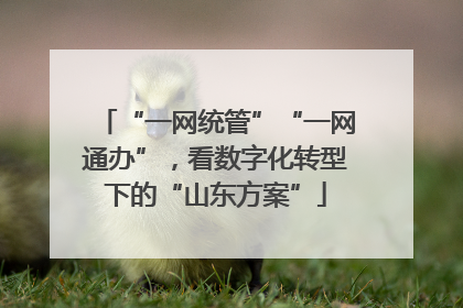 “一网统管”“一网通办”，看数字化转型下的“山东方案”