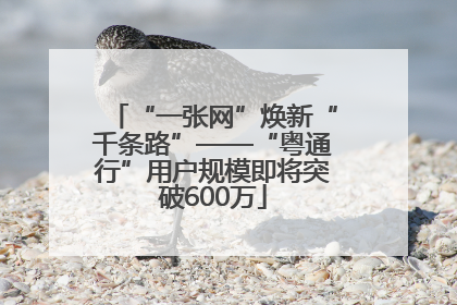 “一张网”焕新“千条路”——“粤通行”用户规模即将突破600万