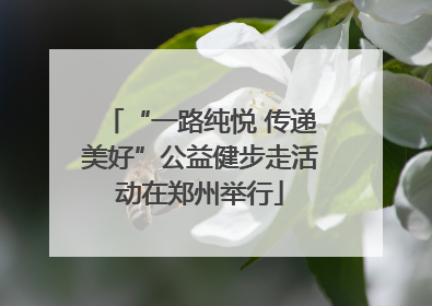 “一路纯悦 传递美好”公益健步走活动在郑州举行