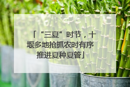 “三夏”时节，十堰多地抢抓农时有序推进夏种夏管