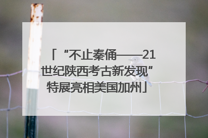 “不止秦俑——21世纪陕西考古新发现”特展亮相美国加州