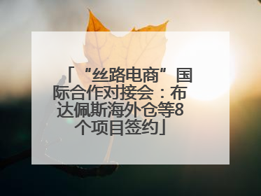 “丝路电商”国际合作对接会：布达佩斯海外仓等8个项目签约