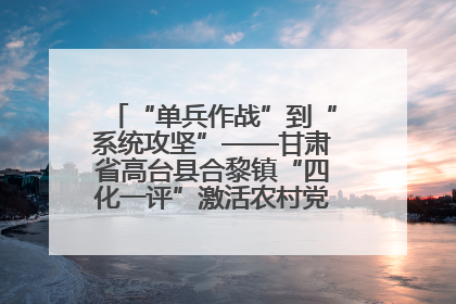 “单兵作战”到“系统攻坚”——甘肃省高台县合黎镇“四化一评”激活农村党员管理新引擎