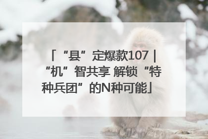 “县”定爆款107｜“机”智共享 解锁“特种兵团”的N种可能