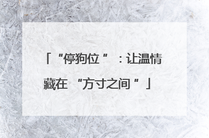“停狗位 ”：让温情藏在 “方寸之间 ”