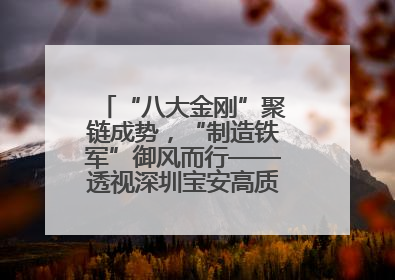 “八大金刚”聚链成势，“制造铁军”御风而行——透视深圳宝安高质量发展新活力