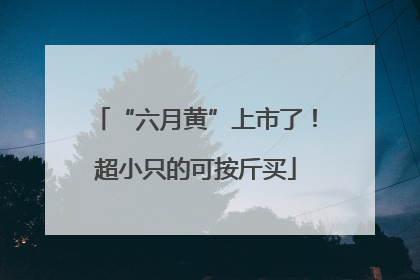 “六月黄”上市了！超小只的可按斤买