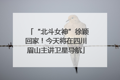 “北斗女神”徐颖回家！今天将在四川眉山主讲卫星导航