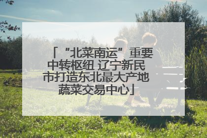 “北菜南运”重要中转枢纽 辽宁新民市打造东北最大产地蔬菜交易中心