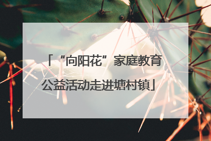 “向阳花”家庭教育公益活动走进塘村镇