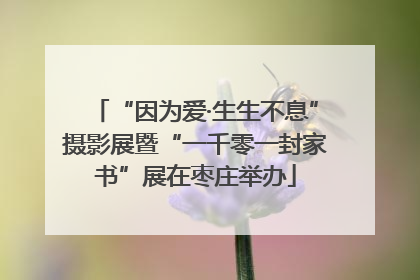 “因为爱·生生不息”摄影展暨“一千零一封家书”展在枣庄举办