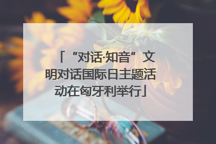 “对话·知音”文明对话国际日主题活动在匈牙利举行