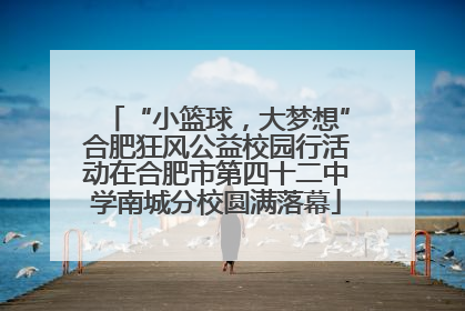 “小篮球，大梦想”合肥狂风公益校园行活动在合肥市第四十二中学南城分校圆满落幕