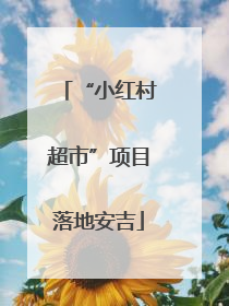 “小红村超市”项目落地安吉