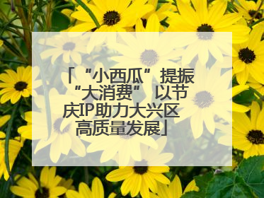 “小西瓜”提振“大消费” 以节庆IP助力大兴区高质量发展