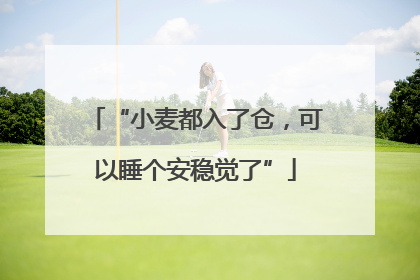 “小麦都入了仓，可以睡个安稳觉了”