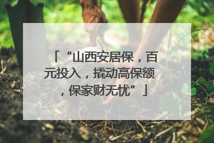 “山西安居保，百元投入，撬动高保额，保家财无忧”