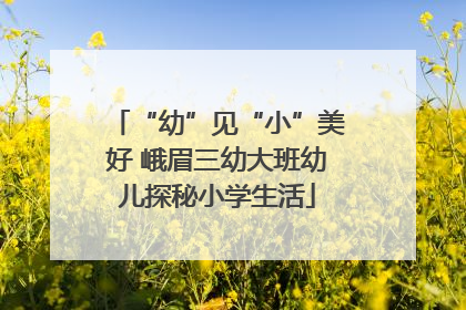 “幼”见“小”美好 峨眉三幼大班幼儿探秘小学生活