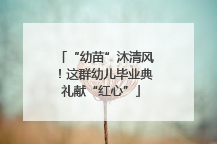“幼苗”沐清风！这群幼儿毕业典礼献“红心”