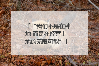 “我们不是在种地 而是在经营土地的无限可能”