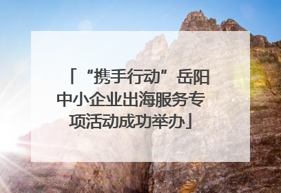 “携手行动”岳阳中小企业出海服务专项活动成功举办