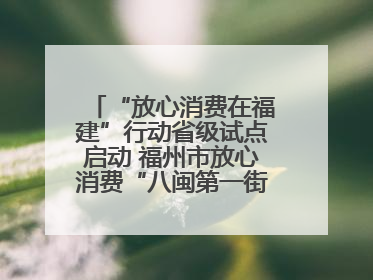 “放心消费在福建”行动省级试点启动 福州市放心消费“八闽第一街”开街