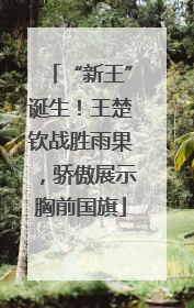 “新王”诞生！王楚钦战胜雨果，骄傲展示胸前国旗