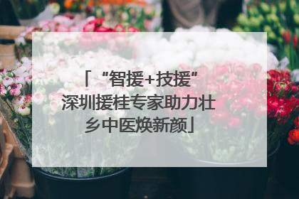 “智援+技援” 深圳援桂专家助力壮乡中医焕新颜