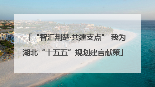 “智汇荆楚·共建支点” 我为湖北“十五五”规划建言献策
