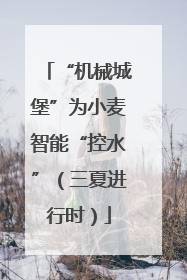“机械城堡”为小麦智能“控水”（三夏进行时）