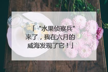 “水果侦察兵”来了，我在六月的威海发现了它！