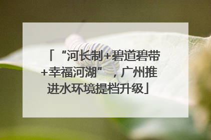 “河长制+碧道碧带+幸福河湖”，广州推进水环境提档升级