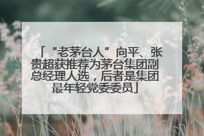 “老茅台人”向平、张贵超获推荐为茅台集团副总经理人选，后者是集团最年轻党委委员