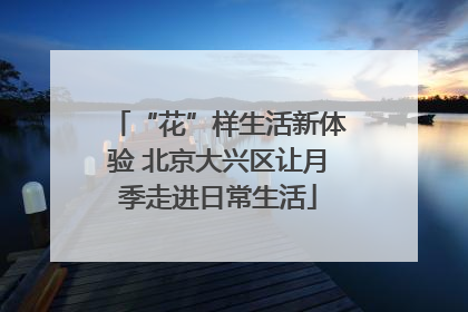 “花”样生活新体验 北京大兴区让月季走进日常生活