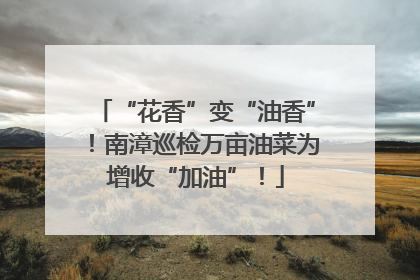 “花香”变“油香”！南漳巡检万亩油菜为增收“加油”！