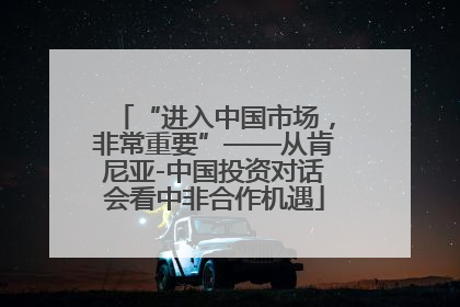 “进入中国市场，非常重要”——从肯尼亚-中国投资对话会看中非合作机遇