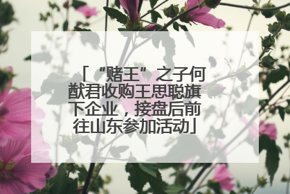 “赌王”之子何猷君收购王思聪旗下企业，接盘后前往山东参加活动